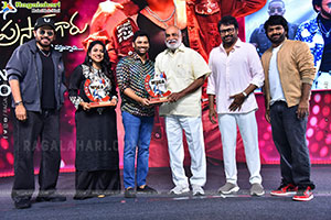 Mana Shankara Varaprasad Garu Movie All Time Industry Hit 