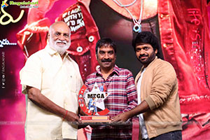 Mana Shankara Varaprasad Garu Movie All Time Industry Hit 