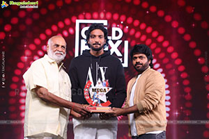 Mana Shankara Varaprasad Garu Movie All Time Industry Hit 