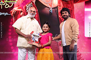 Mana Shankara Varaprasad Garu Movie All Time Industry Hit 