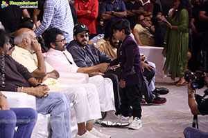 Mana Shankara Varaprasad Garu Movie All Time Industry Hit 