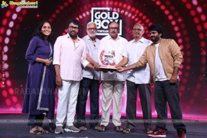 Mana Shankara Varaprasad Garu Movie All Time Industry Hit 