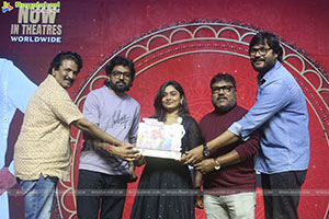 Nari Nari Naduma Murari Sankranthi Blockbuster Celebrations