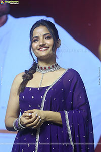 Nari Nari Naduma Murari Sankranthi Blockbuster Celebrations