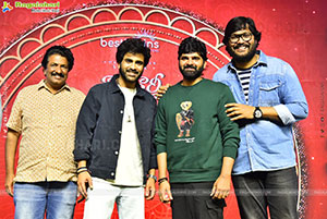 Nari Nari Naduma Murari Sankranthi Blockbuster Celebrations