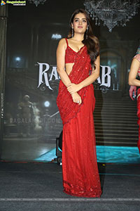 The Raja Saab Movie Pre Release Party and Press Meet