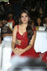 The Raja Saab Movie Pre Release Party and Press Meet