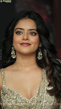 The Rajasaab Movie King-Size Blockbuster Celebrations