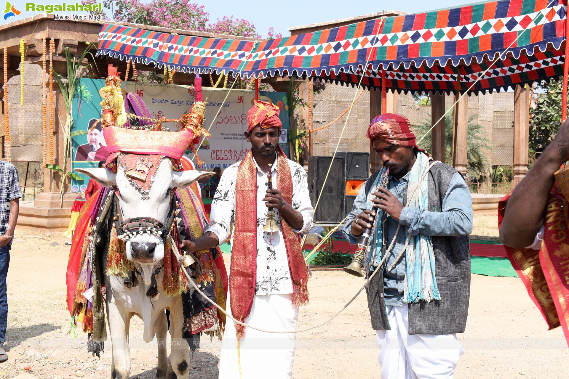 Sankranthi Celebrations 2026 at HIGH Jubilee Hills Estate, Hyderabad 