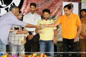 Voice of Youth Audio Release