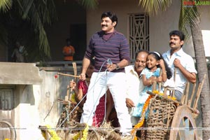 Balakrishna-Priyamani Film