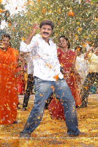 Balakrishna-Priyamani Film