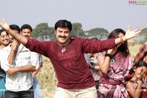 Balakrishna-Priyamani Film