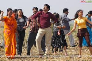 Balakrishna-Priyamani Film