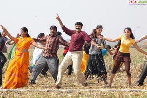 Balakrishna-Priyamani Film