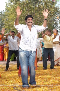 Balakrishna-Priyamani Film