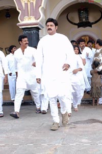 Balakrishna-Priyamani Film