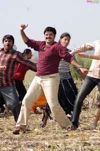 Balakrishna-Priyamani Film