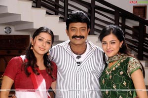 Rajasekhar, Bhumika