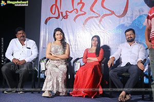 Neethone Nenu First Look Launch Event