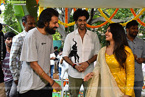 Pink Elephant Pictures Production No.2 Movie Launch