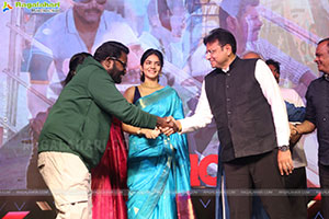 The 100 Telugu Movie Pre Release Event