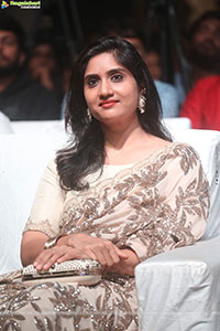 The 100 Telugu Movie Pre Release Event