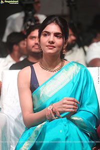 The 100 Telugu Movie Pre Release Event