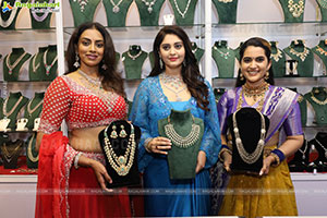 Hi Life Brides Exhibition Grand Launch Event