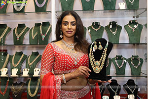 Hi Life Brides Exhibition Grand Launch Event