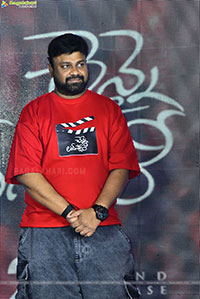Chennai Love Story Movie Grand Press Meet