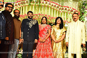 Director Meher Ramesh Daughter Mohana Wedding Ceremony