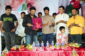 Holidays Audio Release