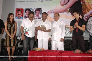 Manasu Pilichindi Audio Release