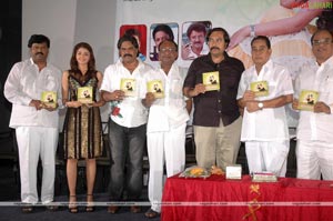 Manasu Pilichindi Audio Release