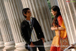 Siddarth, Shamili