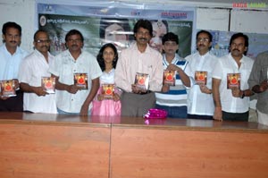 Little Budha Audio Release