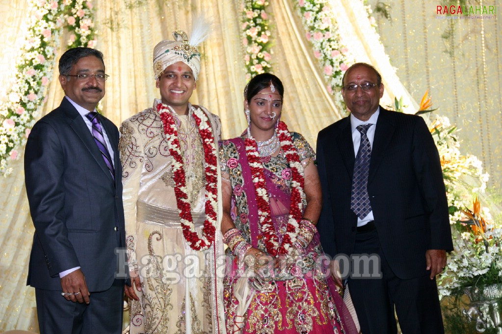 Ankit Agarwal weds Prerna