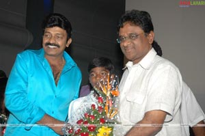 Maa Annayya Bangaram Audio Release