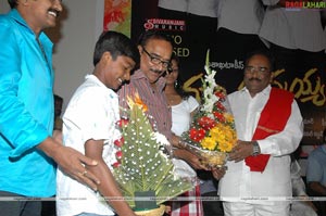 Maa Annayya Bangaram Audio Release