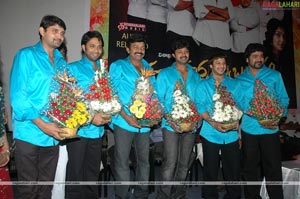 Maa Annayya Bangaram Audio Release