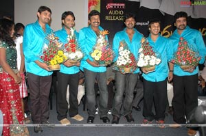 Maa Annayya Bangaram Audio Release