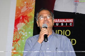 Maa Annayya Bangaram Audio Release
