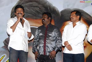 Maa Annayya Bangaram Platinum Disc Function