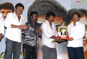 Maa Annayya Bangaram Platinum Disc Function