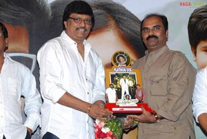 Maa Annayya Bangaram Platinum Disc Function