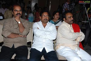 Maa Annayya Bangaram Platinum Disc Function