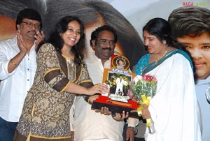 Maa Annayya Bangaram Platinum Disc Function