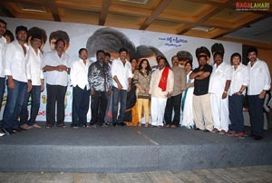 Maa Annayya Bangaram Platinum Disc Function