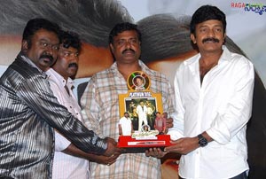 Maa Annayya Bangaram Platinum Disc Function